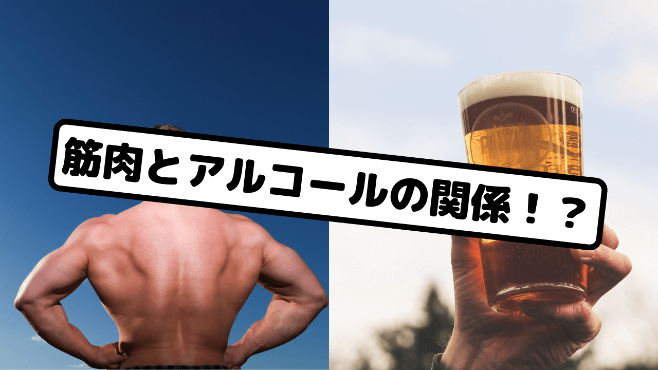 筋肉とアルコールの関係